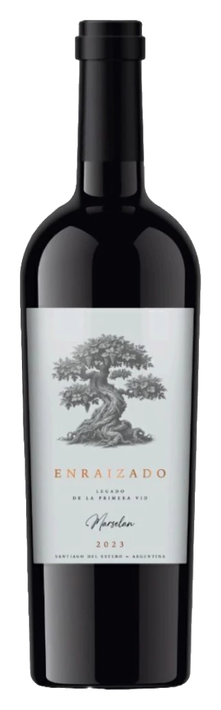 Enraizado — Finca María del Pilar