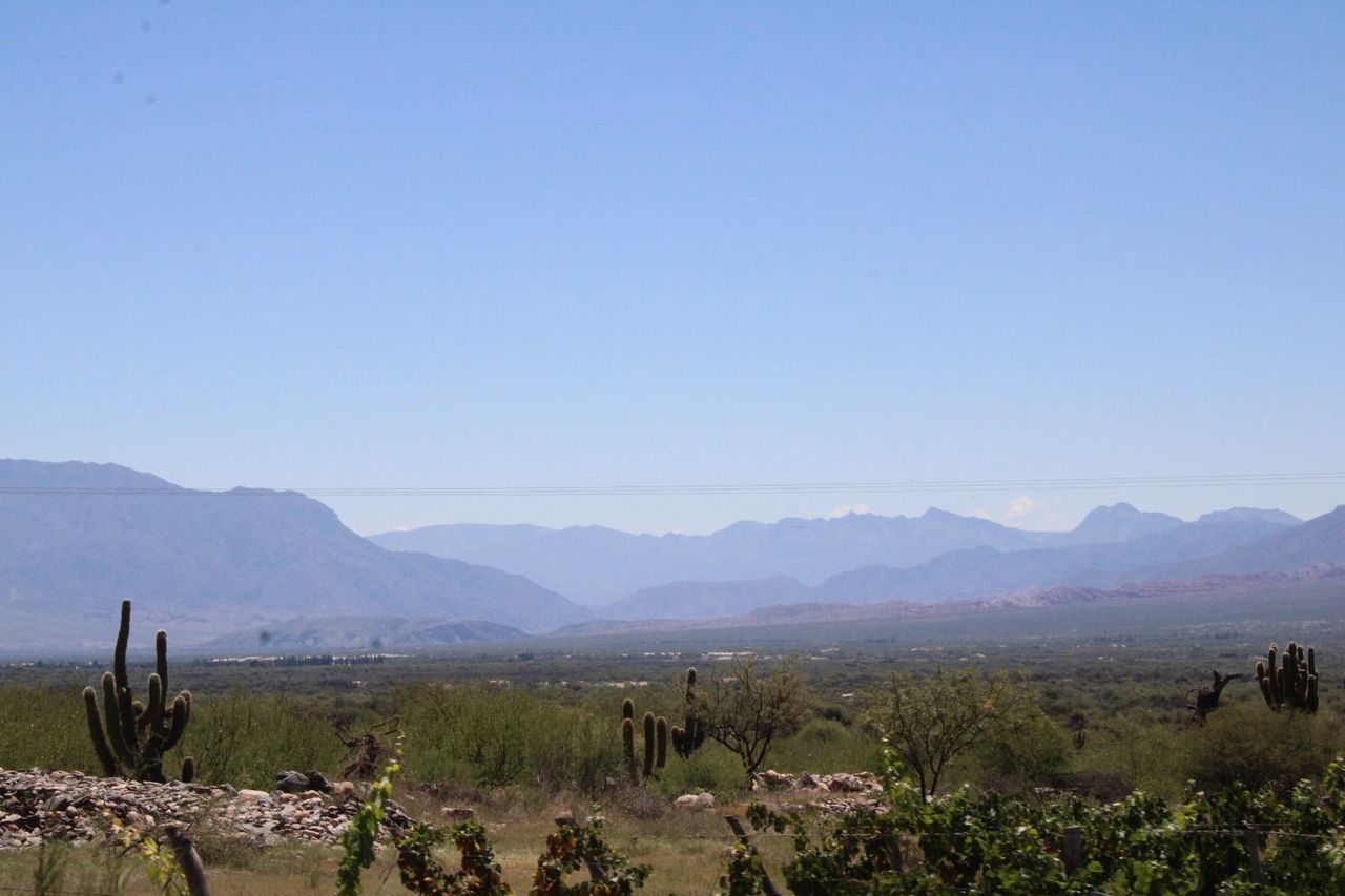 Paisaje del norte 6